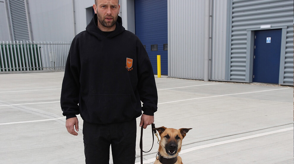 Security Dogs UK Dog Handler Patrols Guard Dogs