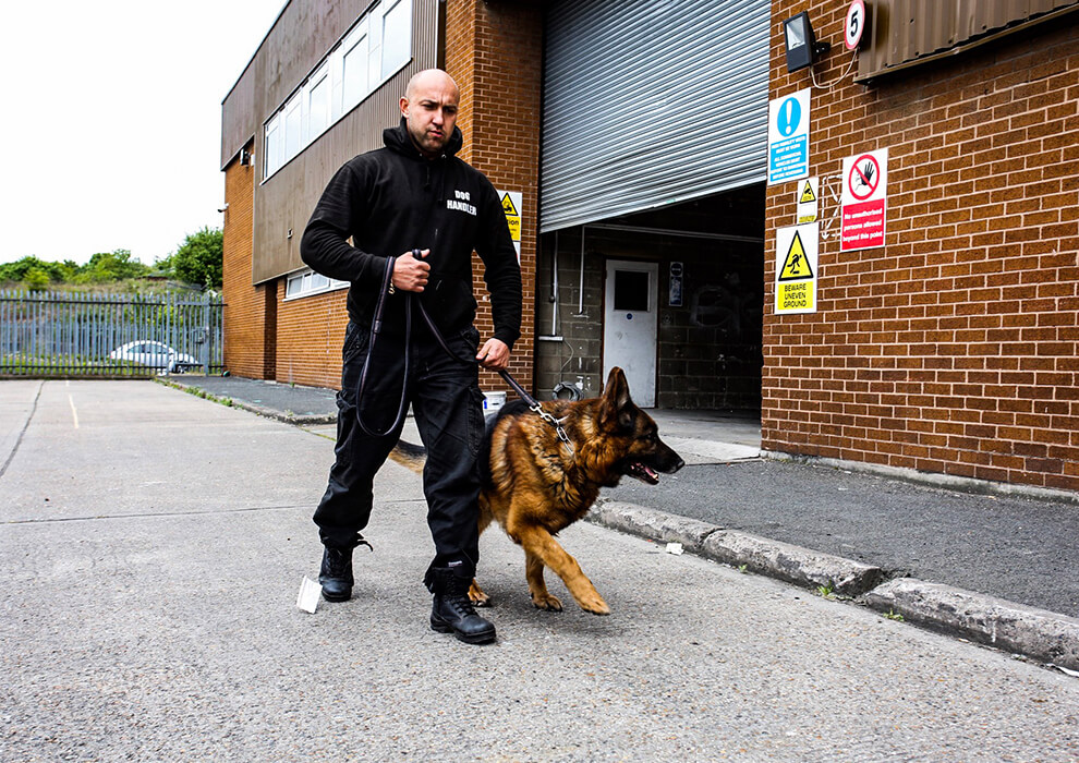 london security guard dogs