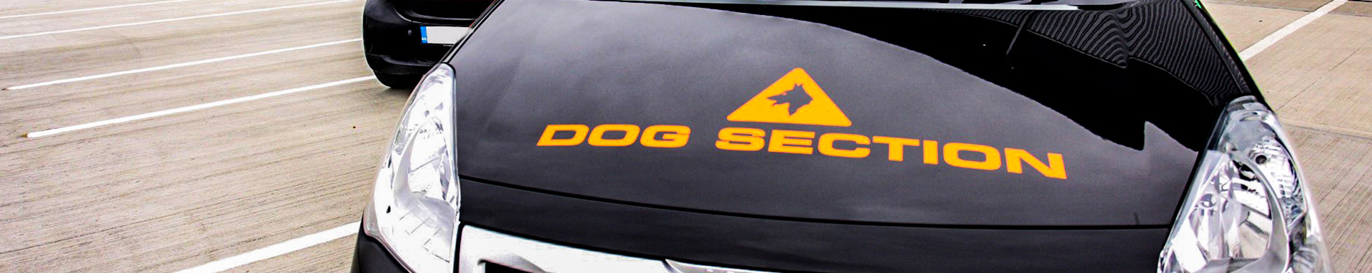 Sniffer Dogs London