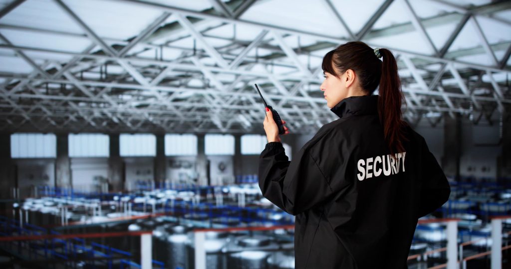 security audit